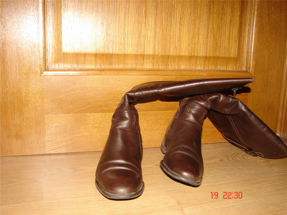 Female_boots2.thumb.JPG.e74343f99cfc4e14bc7200ae92b558e3.JPG