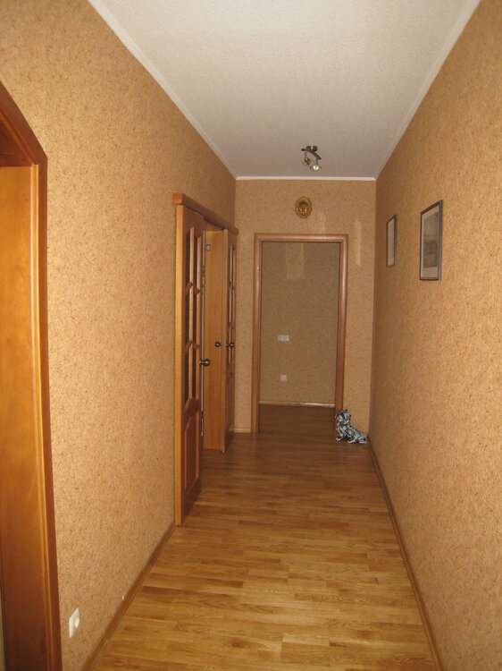 Hall_2.thumb.jpg.1b01fdb1ffd5e0e5968d89c25118d9b7.jpg