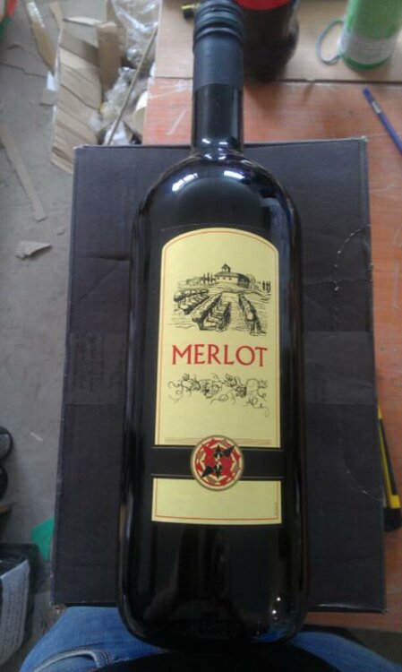 Merlot.thumb.jpg.bd0839e5b92e029823ed7d20a389436e.jpg
