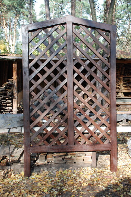 Pergola_05.thumb.JPG.71c3e439501476649a2dd3ec08d347da.JPG