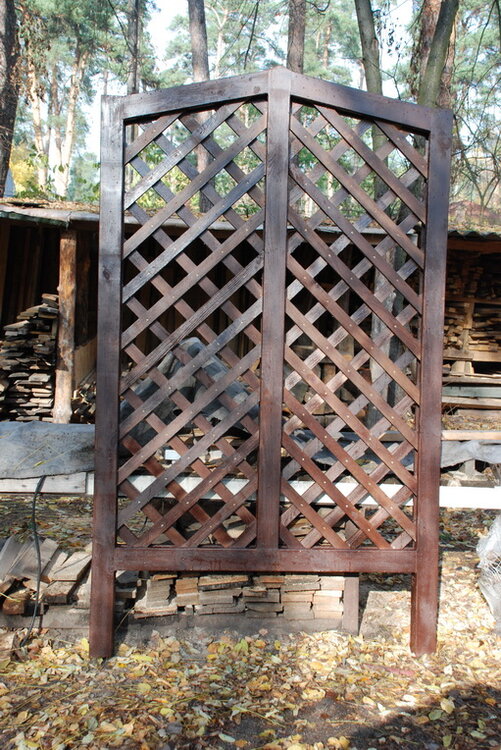 Pergola_06.thumb.JPG.c6eda182906fca97ce851672c00850ff.JPG