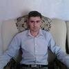 Barash1