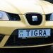 -tigra-