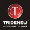 TRIDENELI