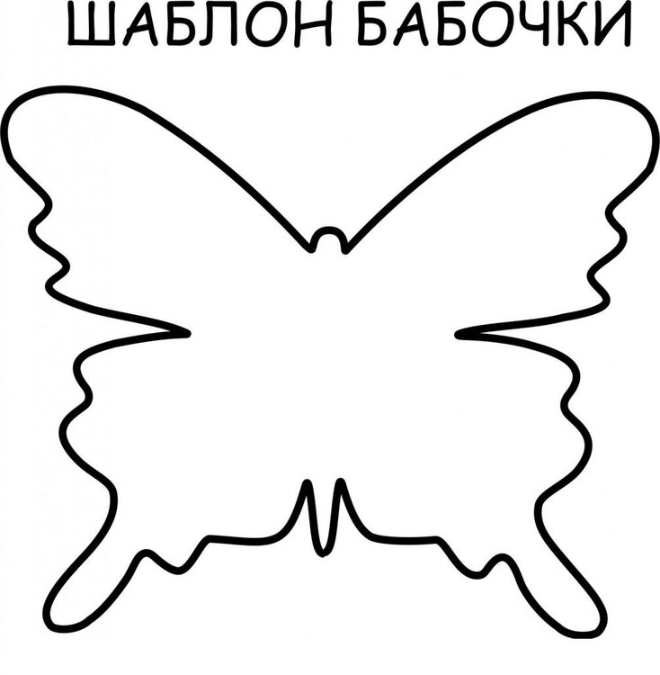 babochka1-1003x1024.thumb.jpg.7905c3695699d697cce2414a3a8fe5dd.jpg