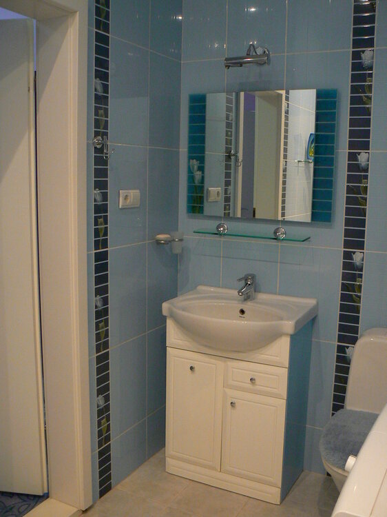 bathroom1.thumb.JPG.755927eaa78bb03602bd6b10f3312cb9.JPG
