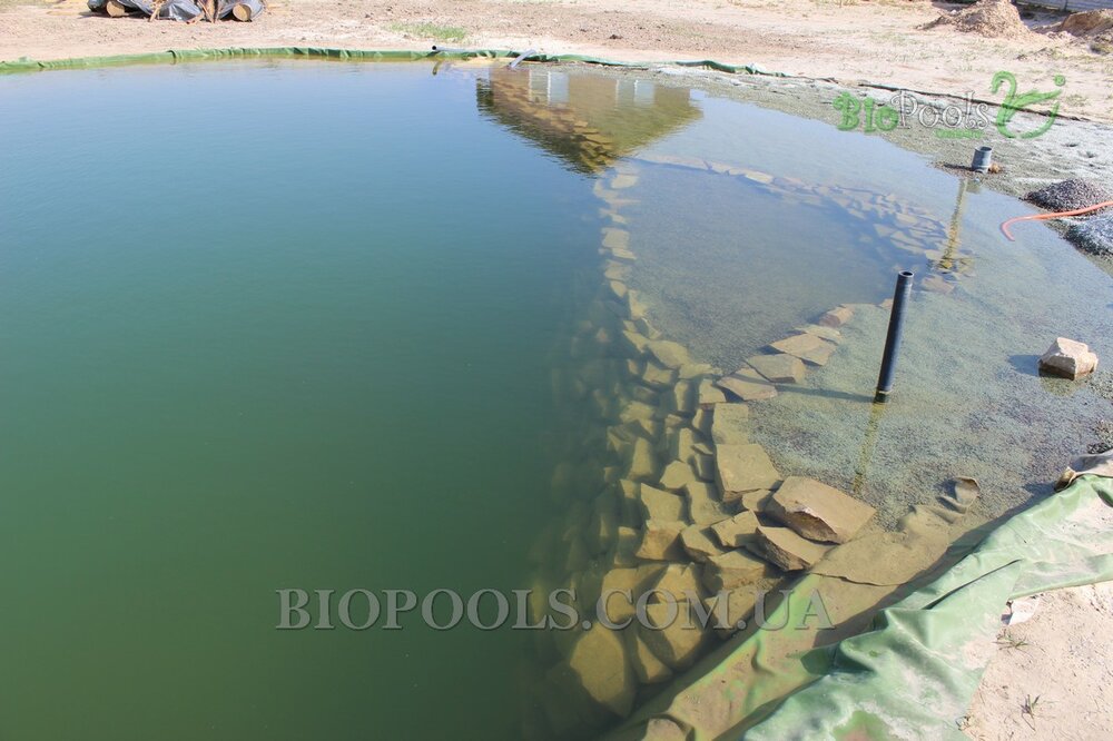 biopools_Vishenki_177.thumb.jpg.036a2ed796965746d0d3b1220bc2467e.jpg