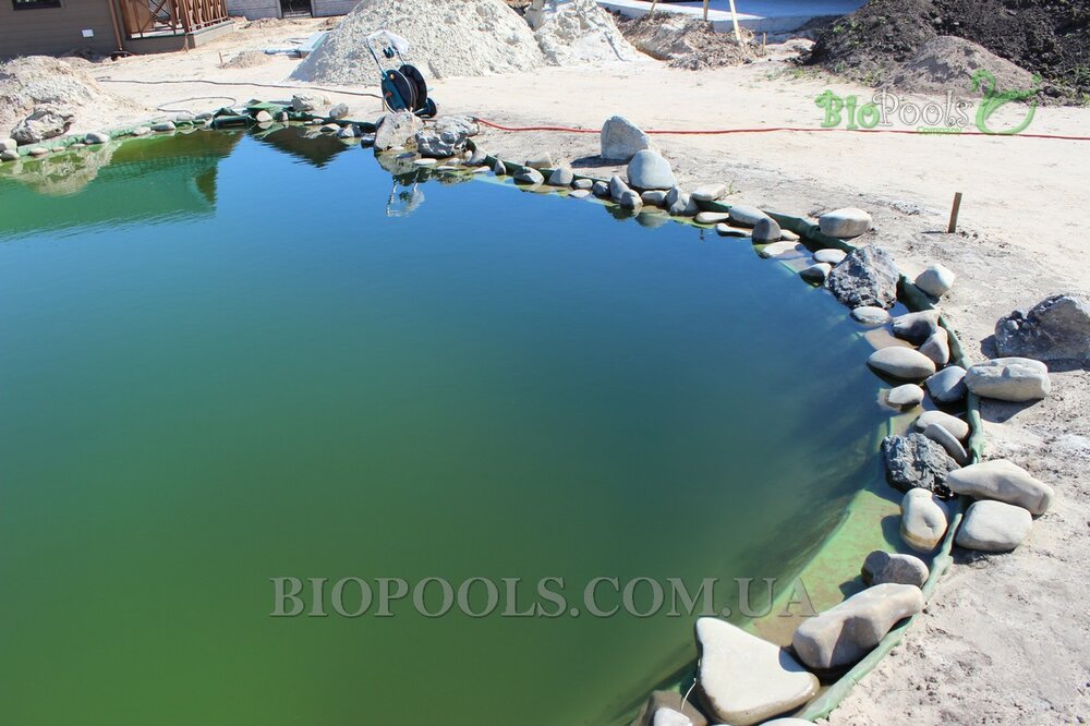 biopools_Vishenki_192.thumb.jpg.4c26ce77a13f1a879d7afb7c6c49aaff.jpg