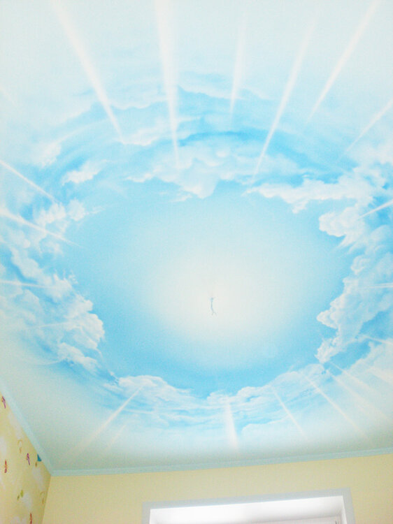 ceiling-cloud-2.thumb.jpg.f13688b281ac4473a6bdcc6484a597b9.jpg