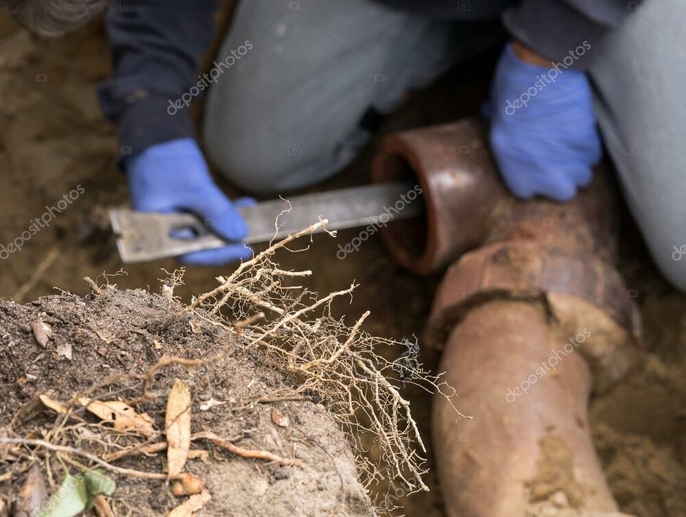 depositphotos_77895080-stock-photo-man-digging-tree-roots-out.thumb.jpg.0ebb23f0b60cddb960b4ae715ecf318b.jpg