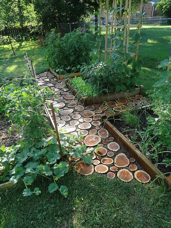 diy-garden-paths-of-wood-slabs1.thumb.jpg.812124ee9f186d14f6f9401615f9495a.jpg