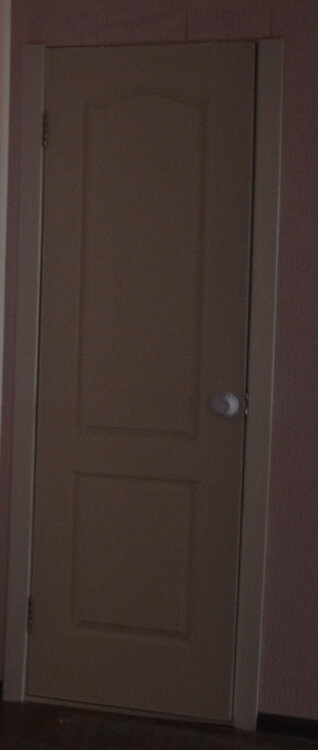 dveri_vanna.thumb.jpg.359ab207d92a0b65c824e568cbf24dbd.jpg