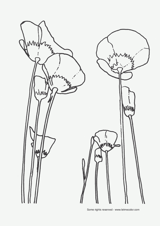 flowers_coloring_page_12133.thumb.gif.e4a60fa839d48dfba62fc4d61e03300b.gif