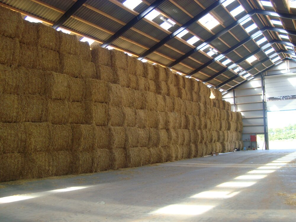 halmlager.thumb.jpg.f6cfb23f6014ffe888839cd0ea777981.jpg