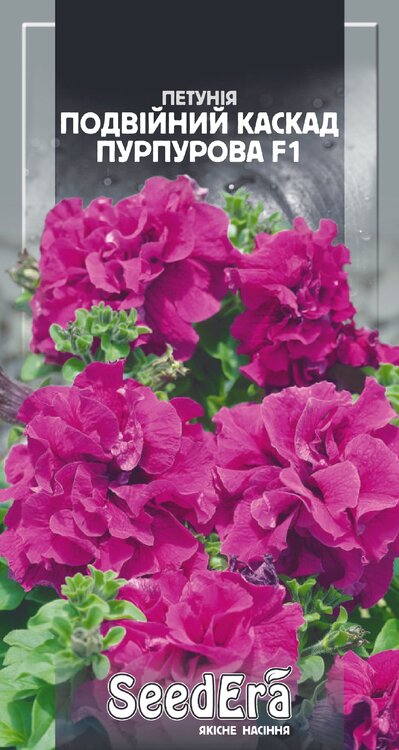 kviti_petuniya_bahromchasta_velikokvitkova_nizkorosla_podviyniy_kaskad_purpurova_f1_10_sht_57ce9.thumb.jpg.c5e54996d7ae16cb43b613e3d2ea3511.jpg
