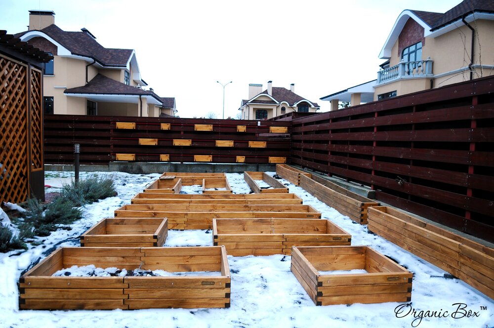 organic-box-ukraine-vysokie-gryadki-raised-garden-beds-2.thumb.JPG.8832bd11b2d702ddcf05e748bdb74185.JPG