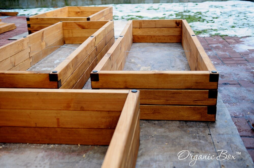 organic-box-ukraine-vysokie-gryadki-raised-garden-beds-3.thumb.JPG.33f47d0d21462dc7a6cb298c65a73f8f.JPG