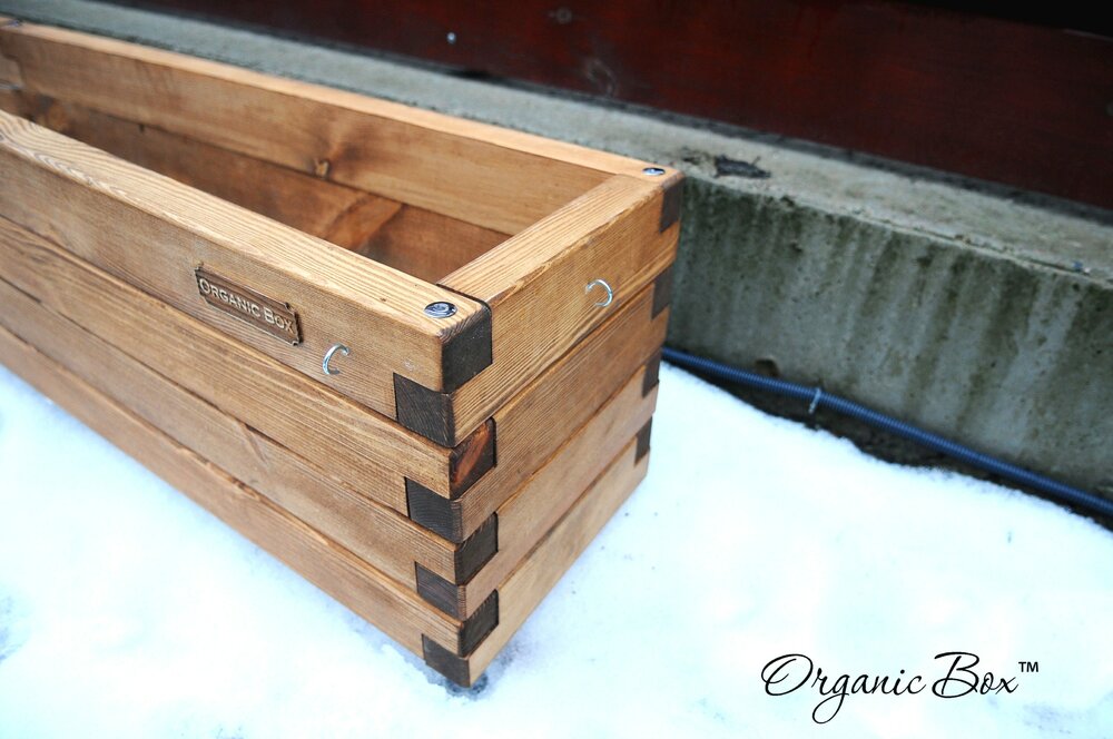 organic-box-ukraine-vysokie-gryadki-raised-garden-beds-4.thumb.JPG.ea631caf91a39ad71832604d4e65acb8.JPG
