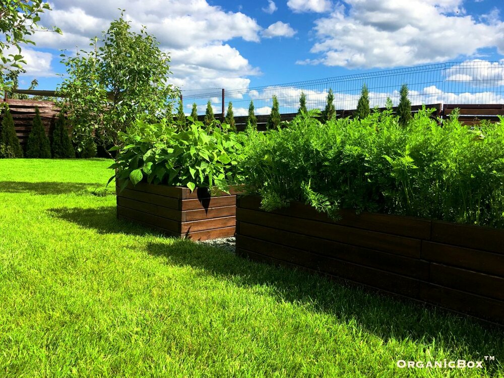 organic-box-vysokie-gryadki-kupit-kiev-8.thumb.jpg.451af4613fed8b6e39e41351ec22a844.jpg