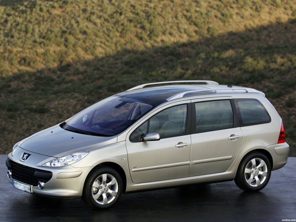 peugeot_307-sw__2005_r4.thumb.jpg.fb747125089c0a124e330e7651313a2b.jpg