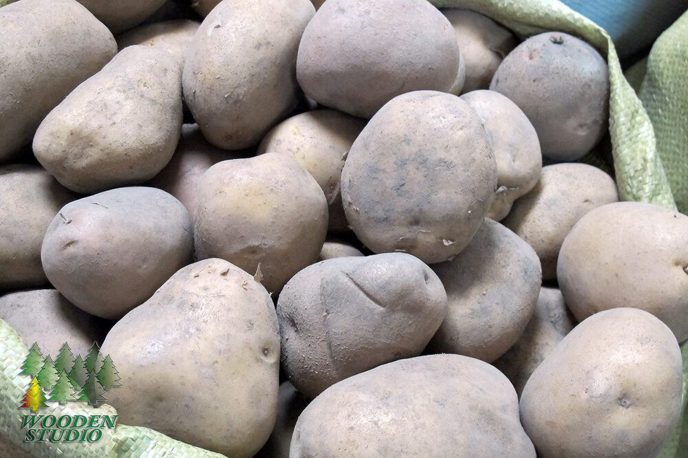 potato_4922.thumb.jpg.2b623bbbc16eb626a9992ada4f52a8e7.jpg