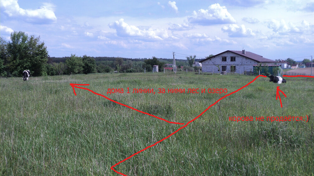 prodam-uchastok-v-kievskoy-oblast-9i.thumb.JPG.1783b59ca657b5feb81b7ced0c38844f.JPG