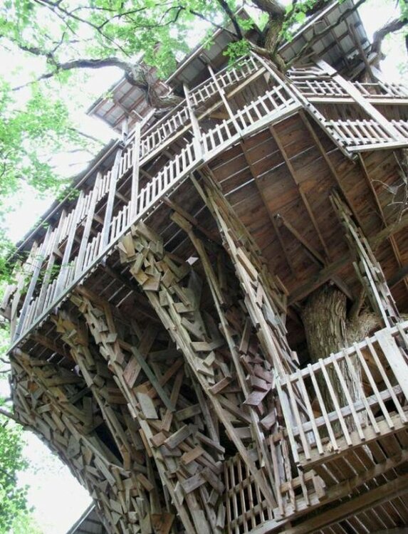 tallest_treehouse_18.thumb.jpg.35d67ff6a74de4c6eedfb83b8d54f683.jpg
