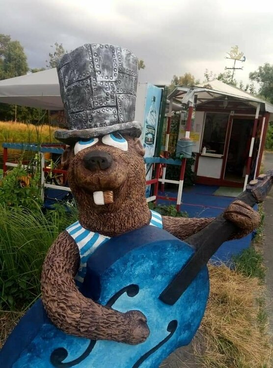 т тдьдьот.jpg