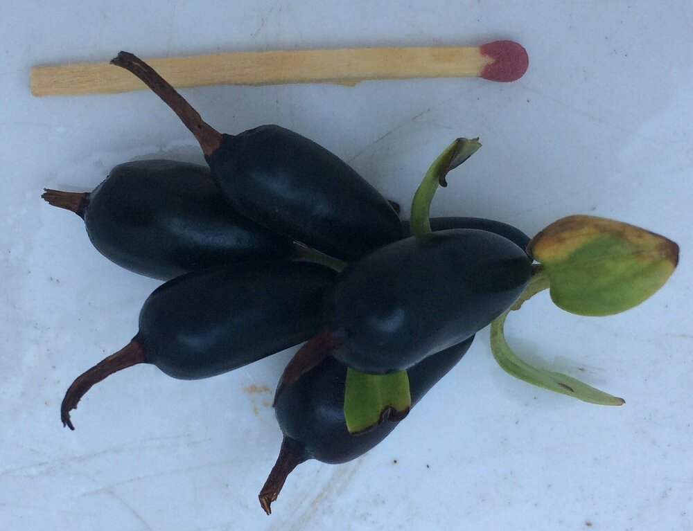 1 - Обменник - 7.JPG