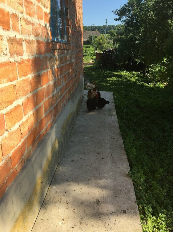 вид сбоку.JPG