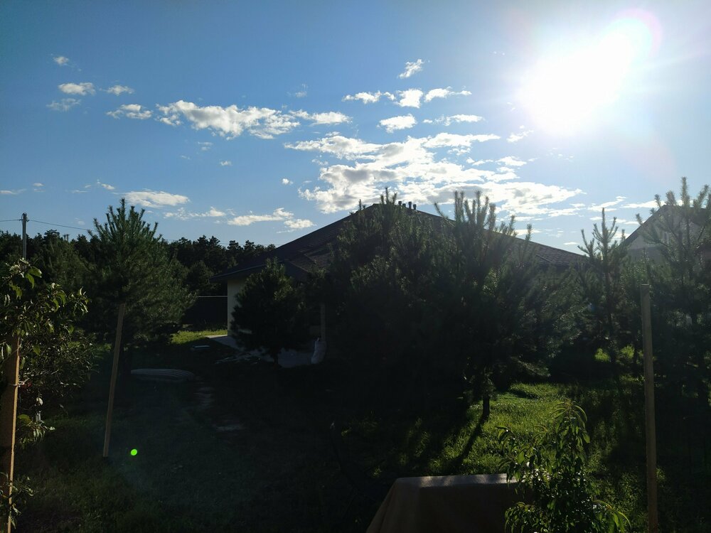 IMG_20210905_172137 (1).jpg