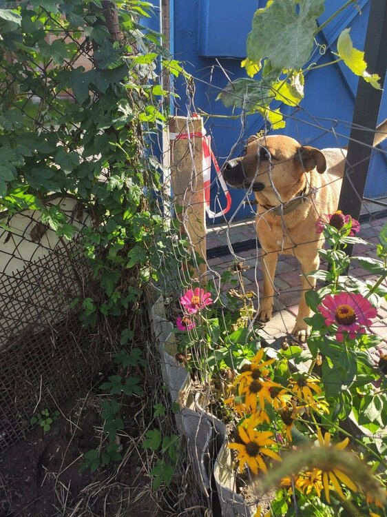 photo_2021-09-03 22.22.59.jpeg