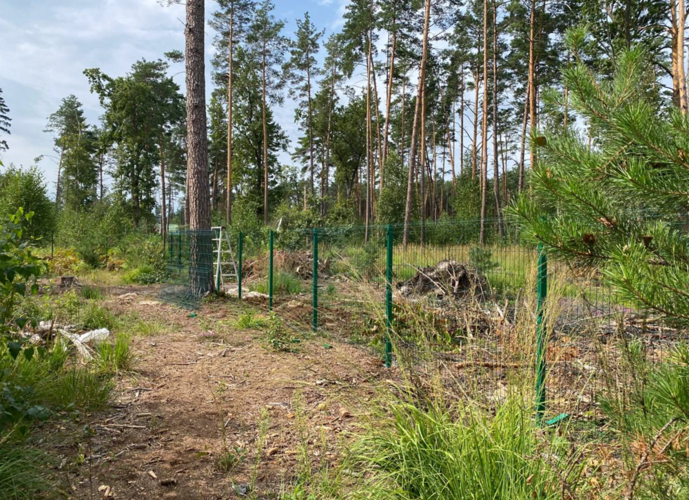 Screen Shot 2021-10-01 at 10.18.16.png