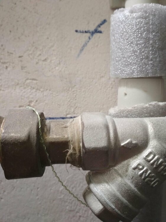 IMG_20211101_115528 (1).jpg