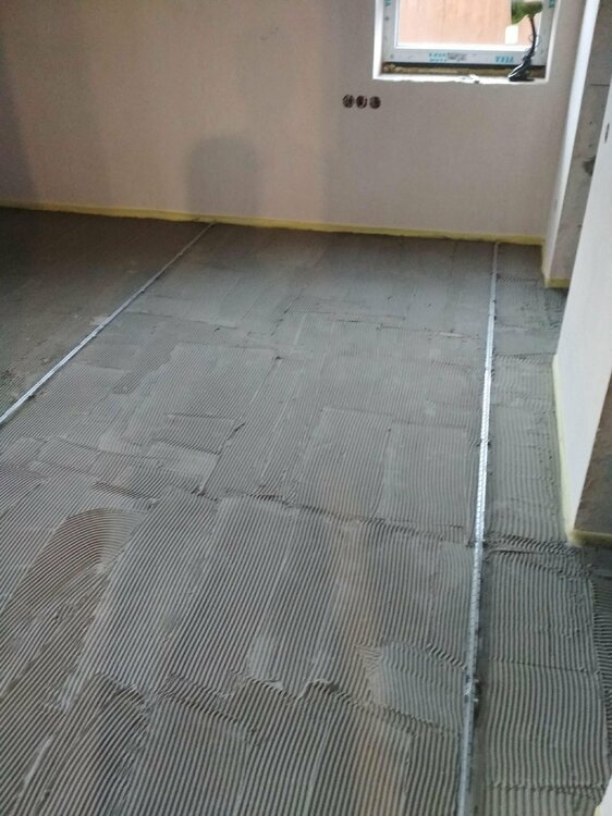 IMG_20211205_144531 (1).jpg