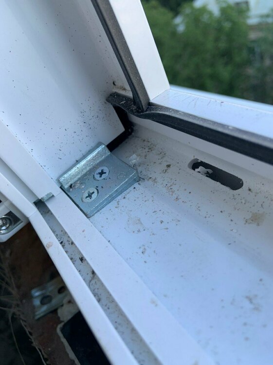 photo_2021-12-08 17.30.50.jpeg