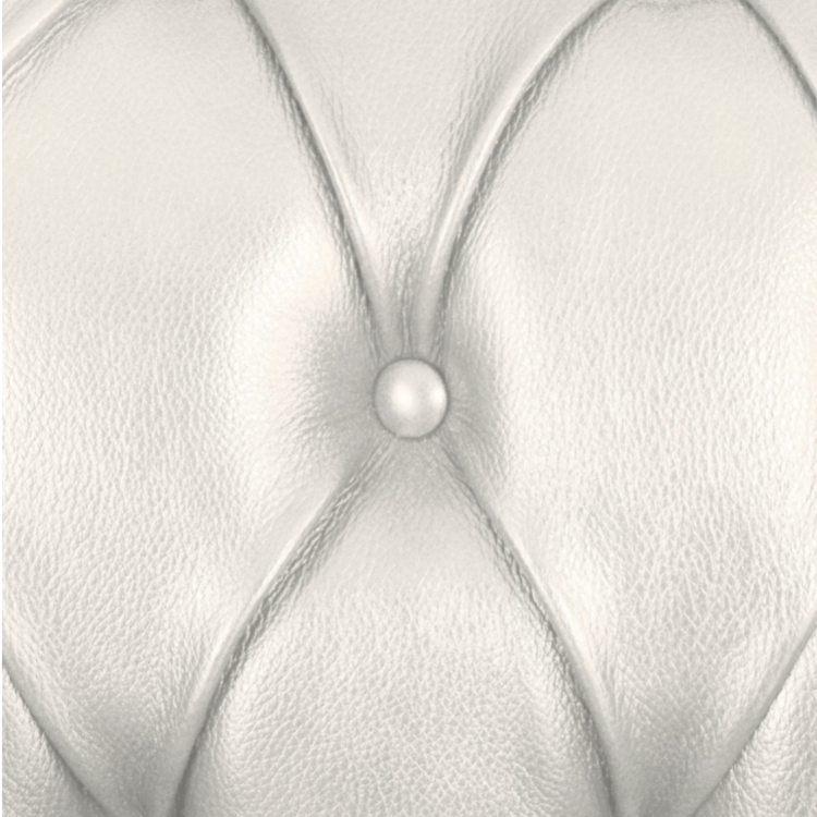 кожа  честер.png