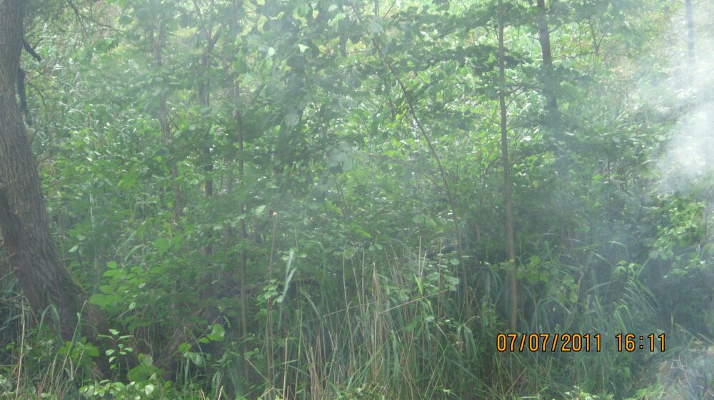 Изображение 130.jpg