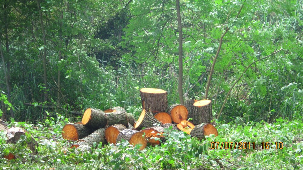 Изображение 124.jpg