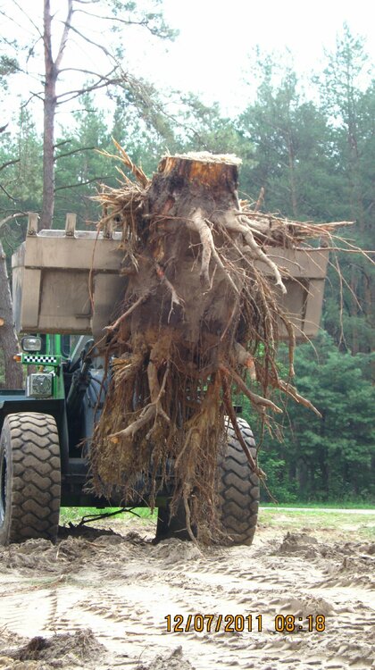 Изображение 163.jpg