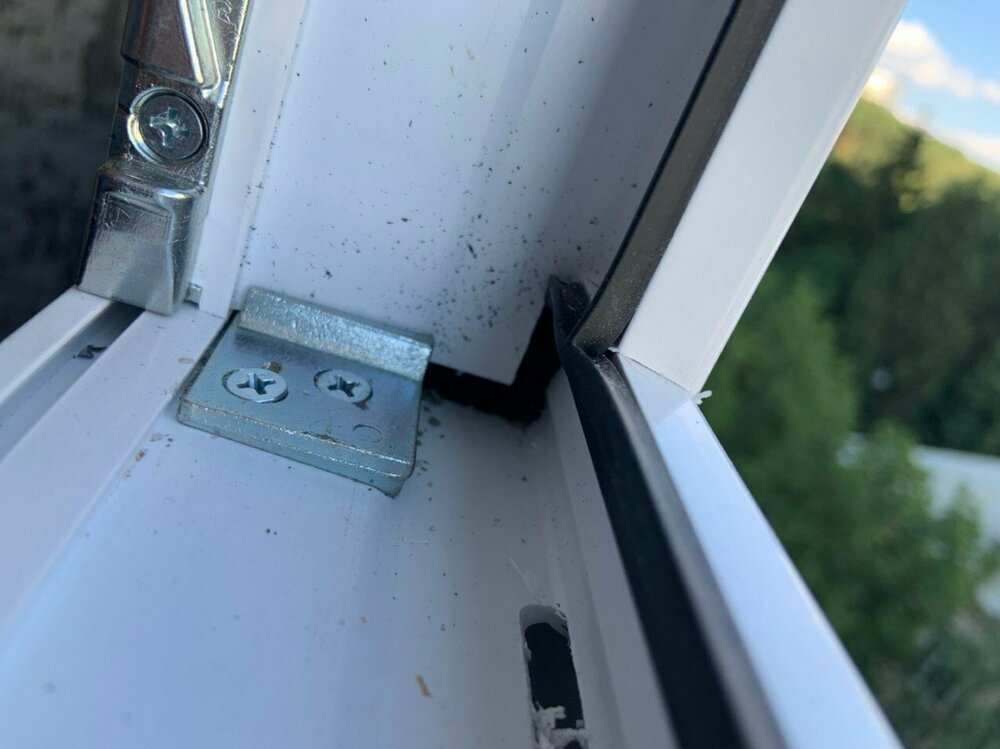 photo_2021-12-08 17.30.53.jpeg