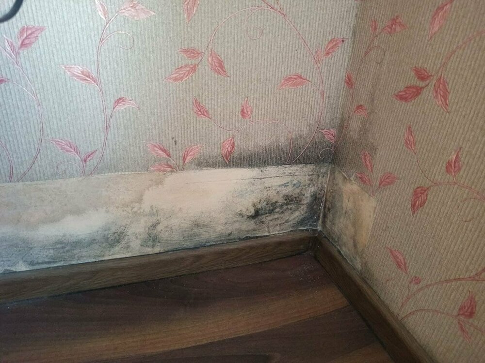 вид в кімнаті.jpg