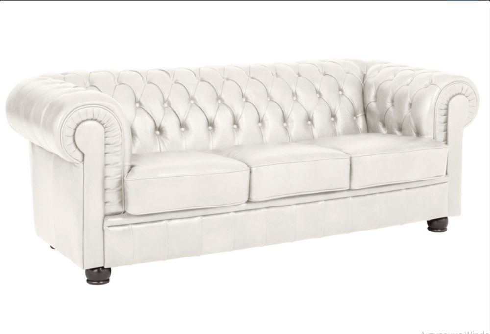 честер  белый.png