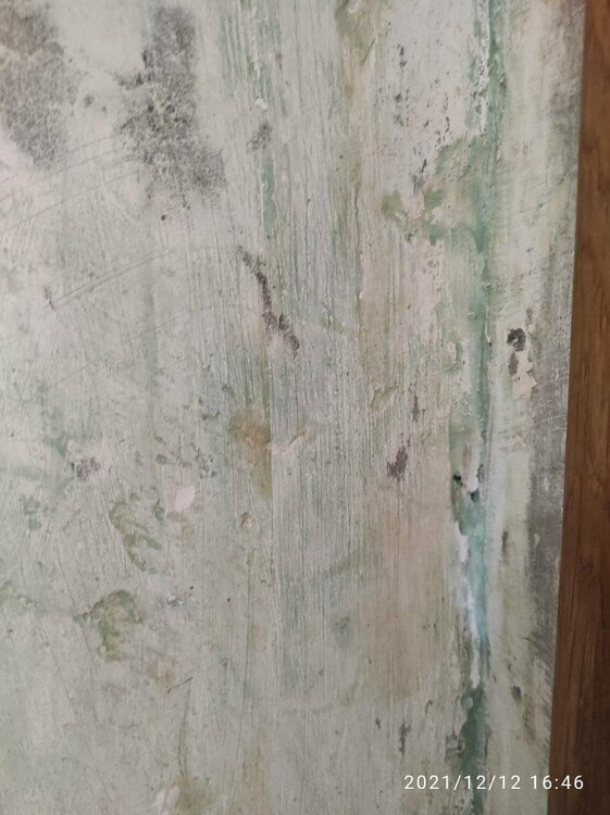 photo_2021-12-12_16-53-29 (2).jpg