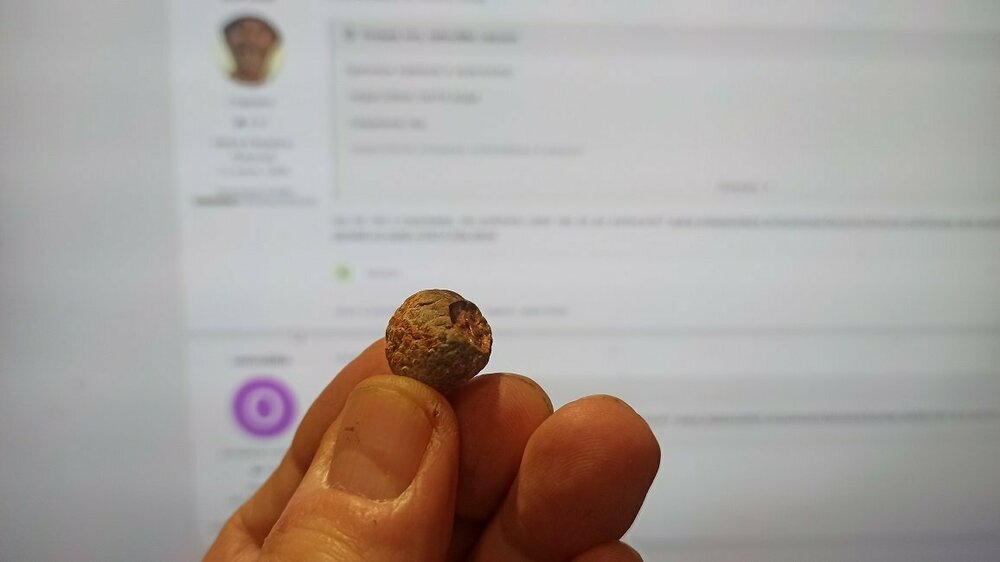 2022-01-09 19.59.54.jpg