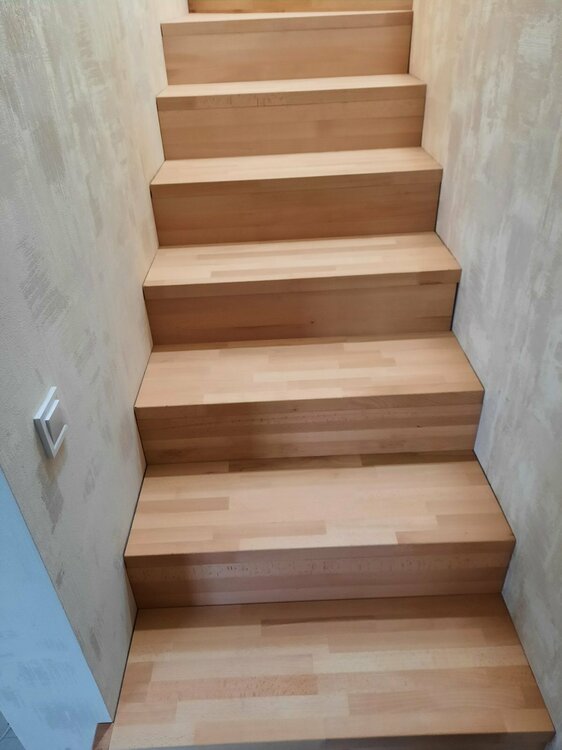 Хотяновка бук (4).jpg