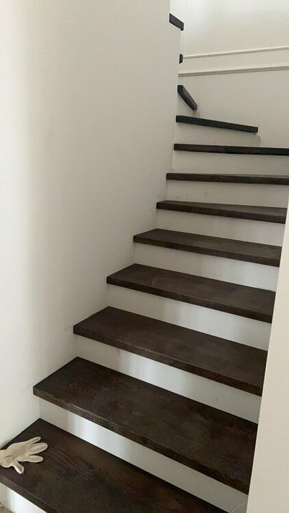 Боярка (1).jpg