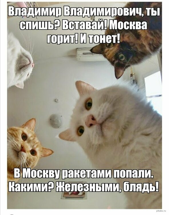 загружено (3).jpg