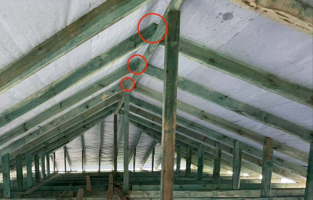 photo_2022-06-25 12.15.25.jpeg