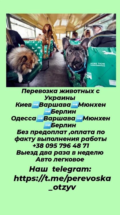 изображение_viber_2022-06-08_10-41-36-374.jpg